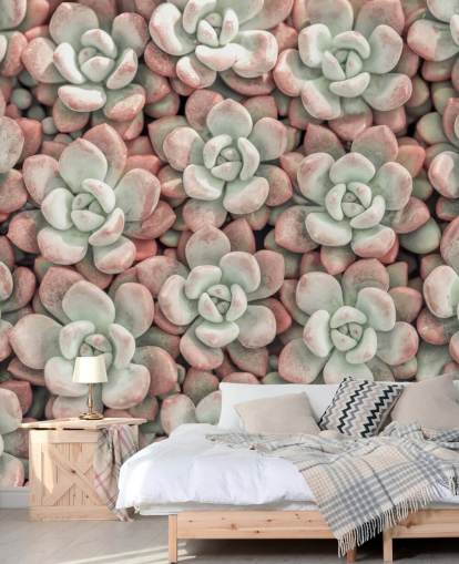 fotomurale con piante rosa e verdi chiamato Succulents di Assaf Frank