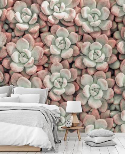 pink and green plant photo wall mural called Succulents by Assaf Frank