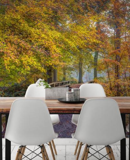 mural de floresta laranja, verde e marrom chamado Bridge in Autumn Forest, de Assaf Frank