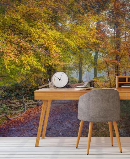 orange, green and brown forest mural called Bridge in Autumn Forest by Assaf Frank orange, green and brown forest mural called Bridge in Autumn Forest by Assaf Frank