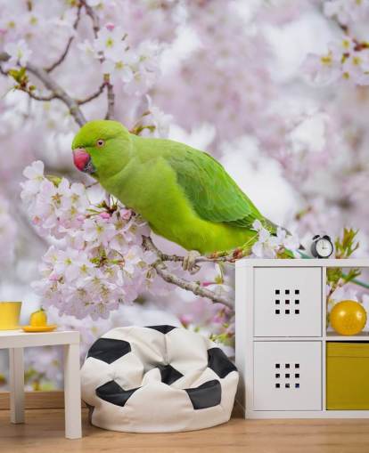 peinture murale rose et verte en fleurs de cerisier intitulée Parrot Sitting in a Blossom Tree par Assaf Frank