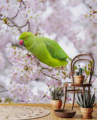 pink and green cherry blossom mural called Parrot Sitting in a Blossom Tree by Assaf Frank