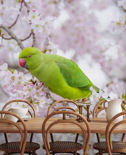 rosa og grønt kirsebærblomstermaleri kalt Parrot Sitting in a Blossom Tree av Assaf Frank