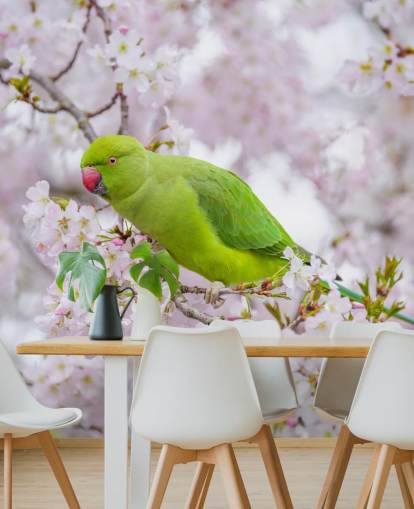 lyserødt og grønt kirsebærblomstermaleri kaldet Parrot Sitting in a Blossom Tree af Assaf Frank