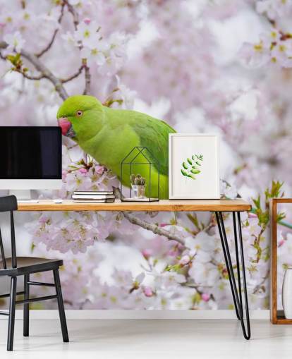 rosafarbenes und grünes Kirschblüten-Wandbild mit dem Titel Papagei Sitting in a Blossom Tree von Assaf Frank