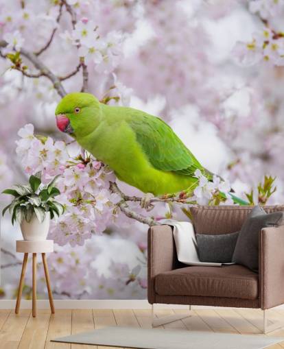 peinture murale rose et verte en fleurs de cerisier intitulée Parrot Sitting in a Blossom Tree par Assaf Frank