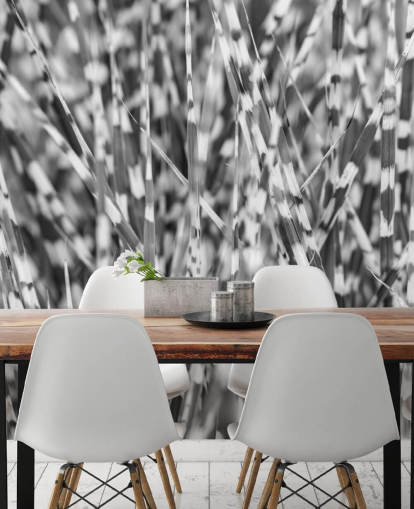 mural personalizado de hierba en blanco y negro llamado Zebra Grass de Assaf Frank