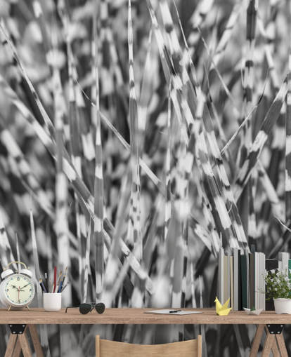 mural personalizado de hierba en blanco y negro llamado Zebra Grass de Assaf Frank
