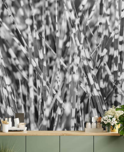 peinture murale personnalisée en herbe noire et blanche appelée Zebra Grass par Assaf Frank