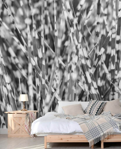 mural personalizado de hierba en blanco y negro llamado Zebra Grass de Assaf Frank