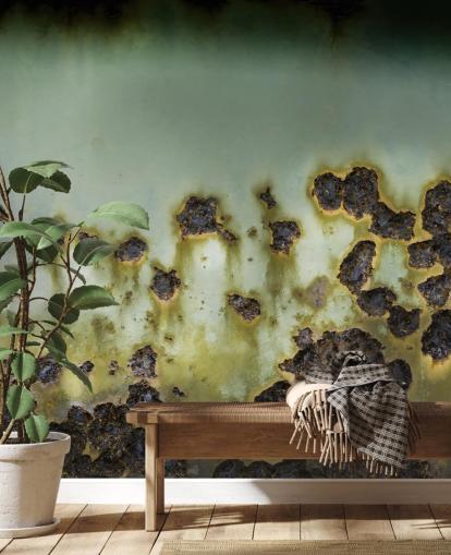personalisierbares grünes Metallwandbild namens Emergence von Petra Meikle de Vlas personalisierbares grünes Metallwandbild namens Emergence von Petra Meikle de Vlas
