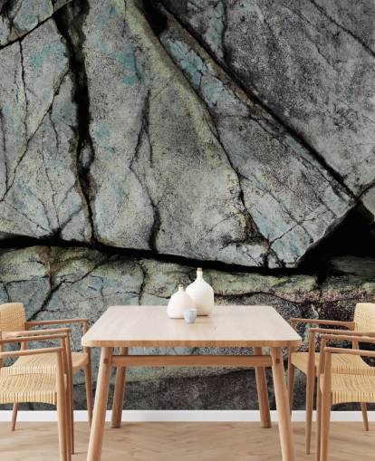 mural personalizado con textura de piedra gris llamado Understory de Petra Meikle de Vlas mural personalizado con textura de piedra gris llamado Understory de Petra Meikle de Vlas