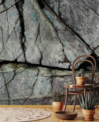 mural personalizado con textura de piedra gris llamado Understory de Petra Meikle de Vlas mural personalizado con textura de piedra gris llamado Understory de Petra Meikle de Vlas