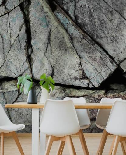 custom grey stone texture mural called Understory by Petra Meikle de Vlas 