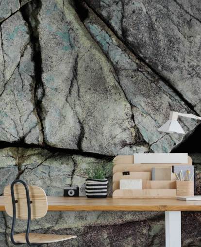custom grey stone texture mural called Understory by Petra Meikle de Vlas 