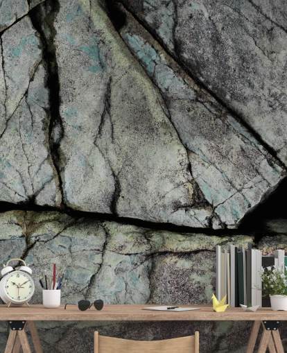custom grey stone texture mural called Understory by Petra Meikle de Vlas custom grey stone texture mural called Understory by Petra Meikle de Vlas