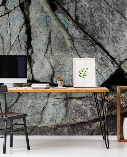 custom gray stone texture mural called Understory by Petra Meikle de Vlas 