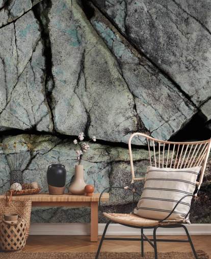 custom grey stone texture mural called Understory by Petra Meikle de Vlas 