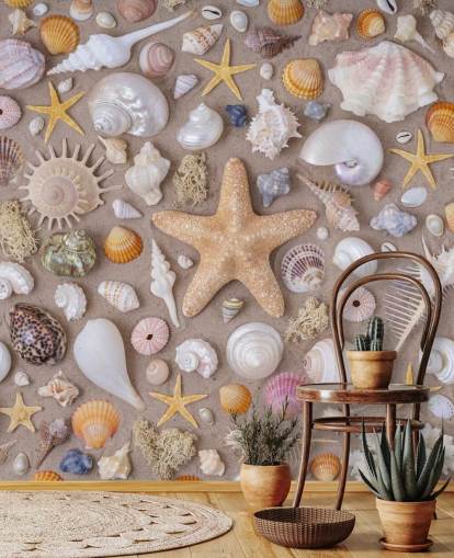 customisable shell wall mural called Sea Shells from Assaf Frank for coastal inspired interiors customisable shell wall mural called Sea Shells from Assaf Frank for coastal inspired interiors