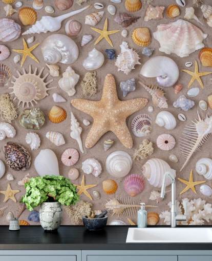 fresque murale personnalisable appelée Sea Shells d'Assaf Frank pour des intérieurs d'inspiration côtière 