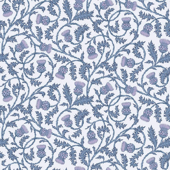 O cardo prateado de Catriona floresce Papel de parede Thistle