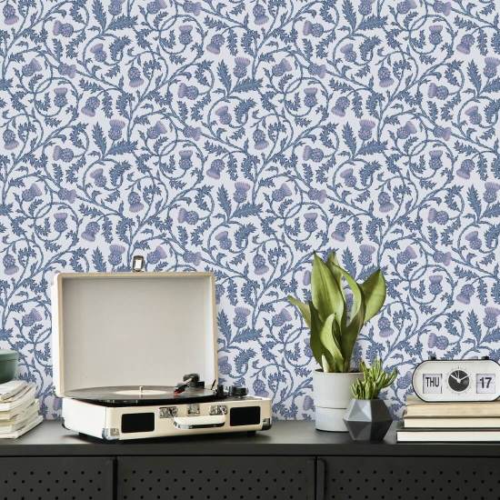 Catrionas tistel sølvblomstrer Thistle Baggrund