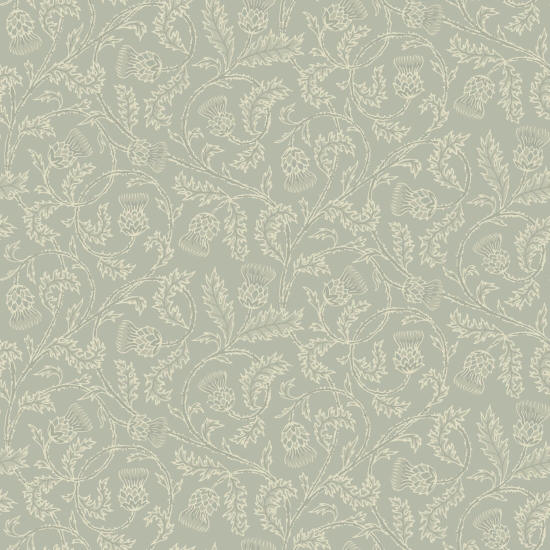 Catriona's Thistle Grey Moors Thistle Baggrund