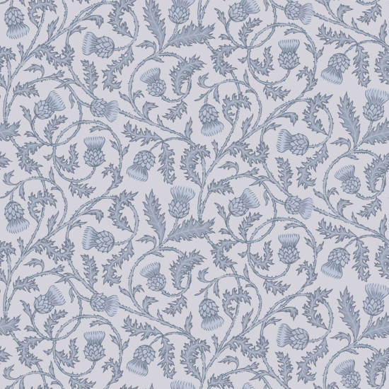 Catriona's Thistle Violet Dusk Fondo de pantalla de Thistle