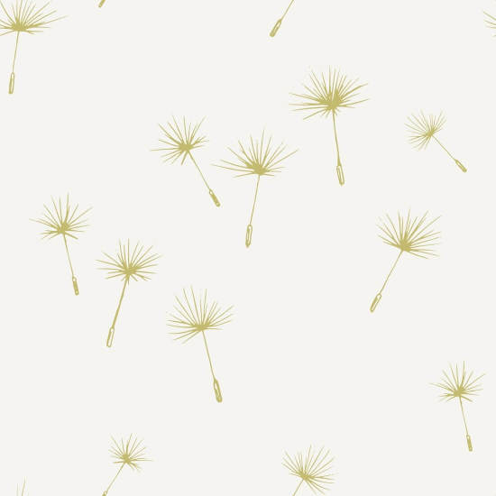 Dandelion Seeds Spring Nature Wallpaper