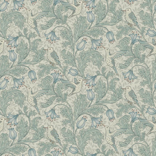 Beija-flor Drift papel de parede de pássaros