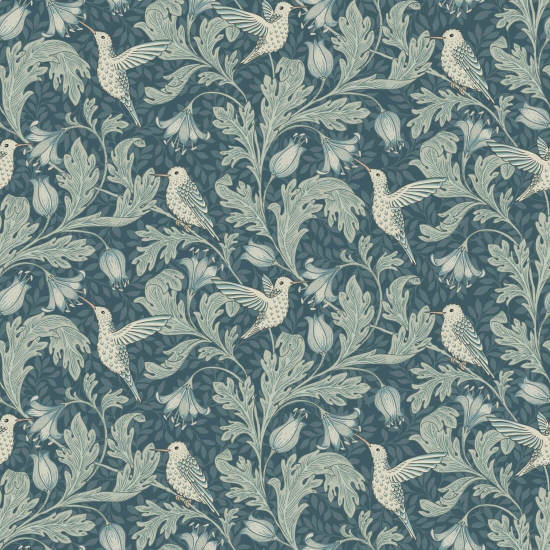 Hummingbird Song Bird Wallpaper