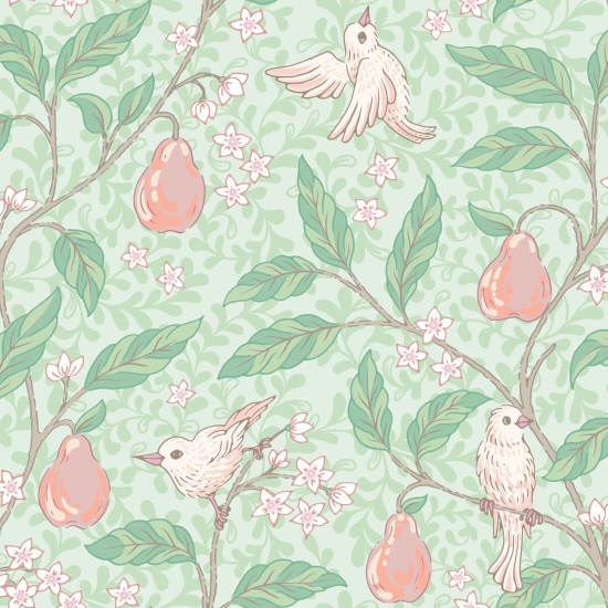 Pétalo de peral Fondo de pantalla de naturaleza