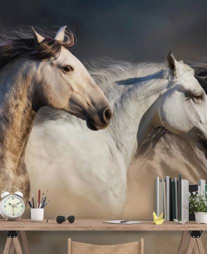Papel pintado Caballos grises, blancos y negros corriendo