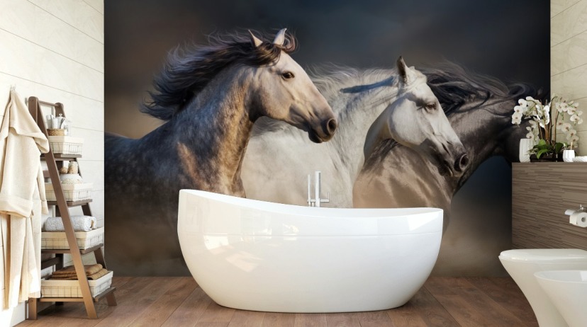 Horse Wallpaper & Wall Murals | Wallsauce UK