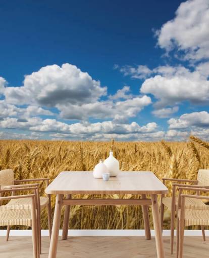 Wheat Field with Blue Sky Wall Mural Wheat Field with Blue Sky Wall Mural