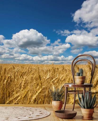 Wheat Field with Blue Sky Wall Mural Wheat Field with Blue Sky Wall Mural