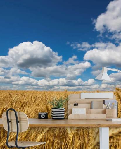 Mural de pared Campo de trigo con cielo azul