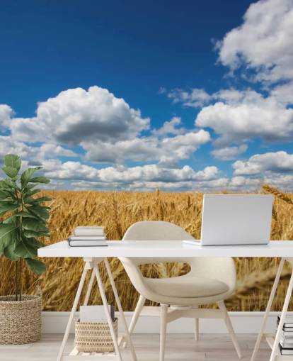Wheat Field with Blue Sky Wall Mural