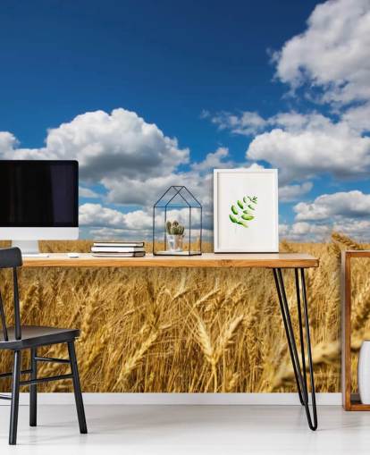 Wheat Field with Blue Sky Wall Mural