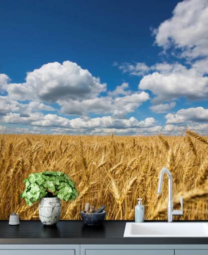 Wheat Field with Blue Sky Wall Mural Wheat Field with Blue Sky Wall Mural