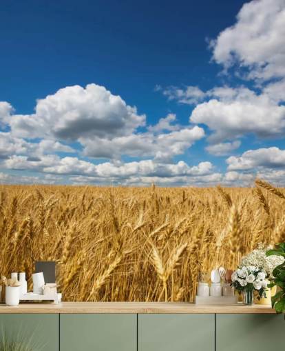Wheat Field with Blue Sky Wall Mural