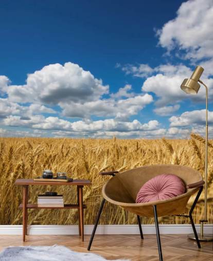 Wheat Field with Blue Sky Wall Mural Wheat Field with Blue Sky Wall Mural