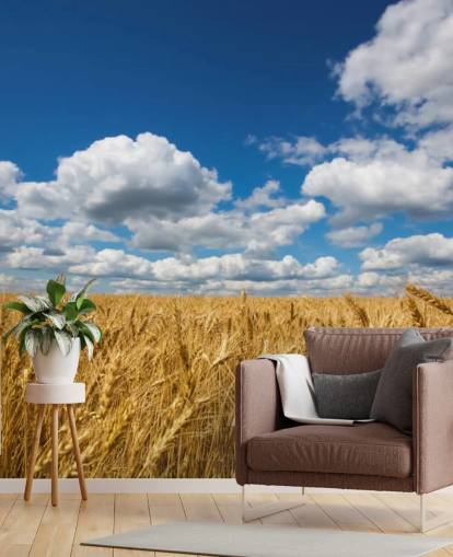 Weizenfeld mit blauem Himmel Fototapete