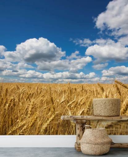 Wheat Field with Blue Sky Wall Mural
