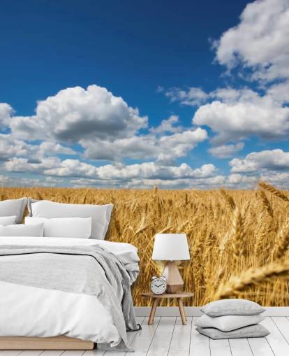 Weizenfeld mit blauem Himmel Fototapete