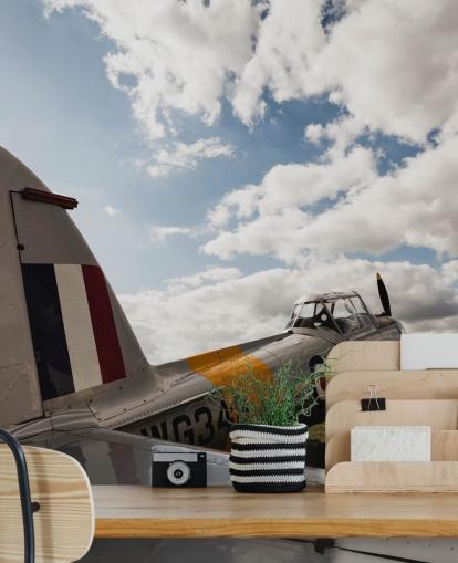 customisable spitfire mural called Classic Military Plane by Anthony Bryant customisable spitfire mural called Classic Military Plane by Anthony Bryant