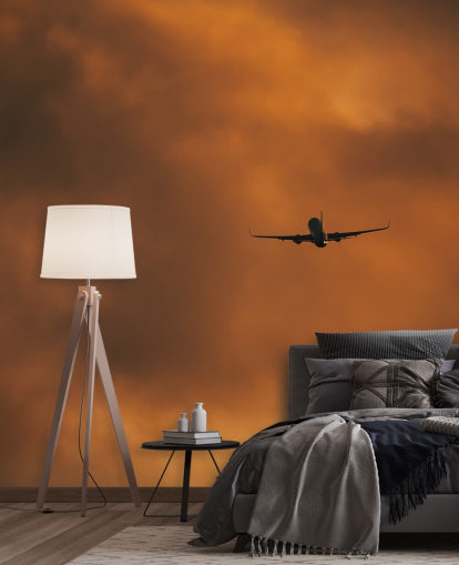 orange customisable plane wall mural called Take Off at Dusk by Anthony Bryant orange customisable plane wall mural called Take Off at Dusk by Anthony Bryant