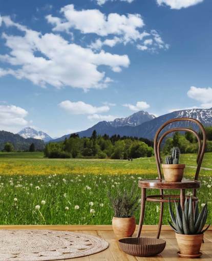 Meadow og Mountain View Mural