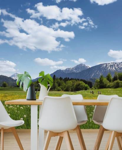 Peinture murale avec vue sur la prairie et