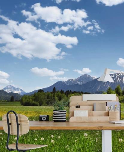 Meadow and Mountain View Mural
